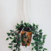 Guadeloupe Plant Hanger - Image 3