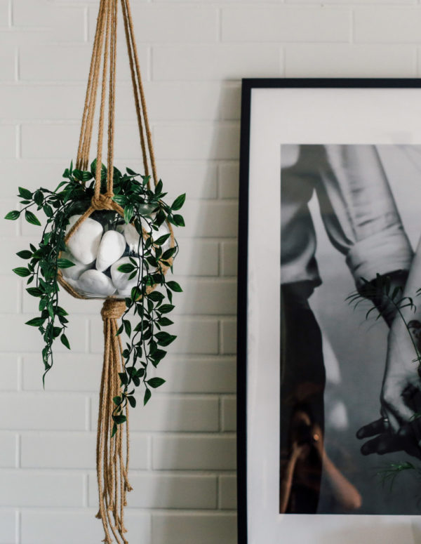 Petra Plant Hanger