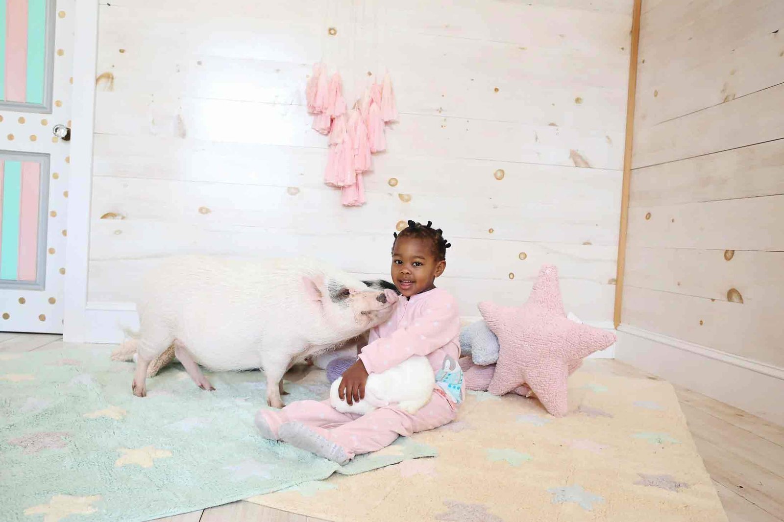 Tricolor Stars Vanilla - Image 9