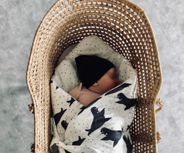 Boho Coco Baby Horn - Image 2