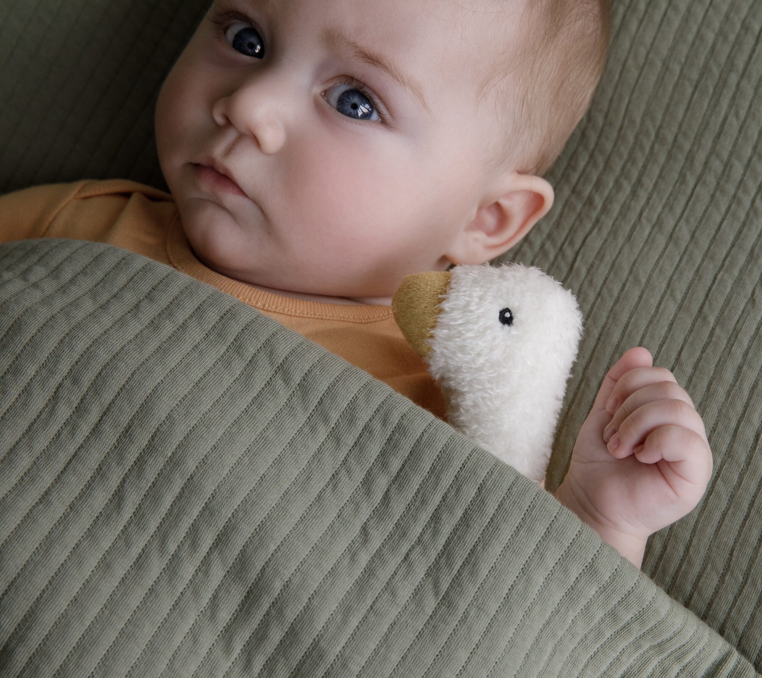 Υφασμάτινη Kουδουνίστρα Πίεσης Little Goose - Little Dutch - Image 5