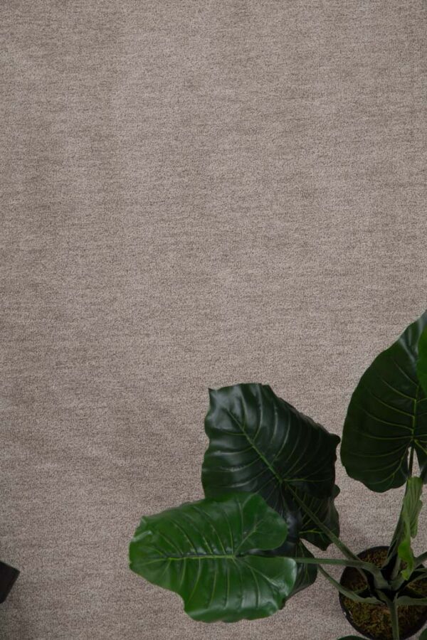 Χαλί Feel 71351 067 Elephant 80x150cm - Image 5