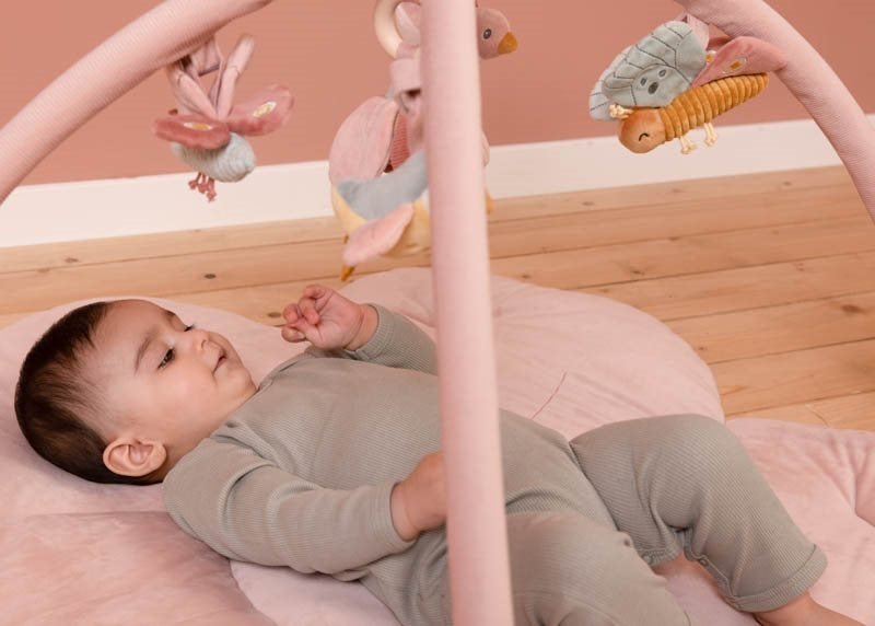 Βρεφικό Γυμναστήριο Δραστηριοτήτων Flowers & Butterflies - Little Dutch - Image 7