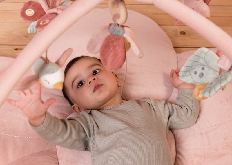Βρεφικό Γυμναστήριο Δραστηριοτήτων Flowers & Butterflies - Little Dutch - Image 5