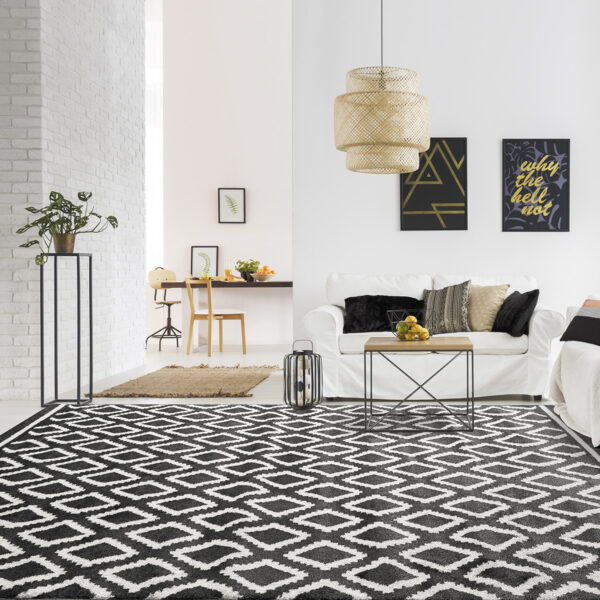 Vibe Art 9577 Διάδρομος Ανθρακί Λευκό - 67x150cm - Image 3