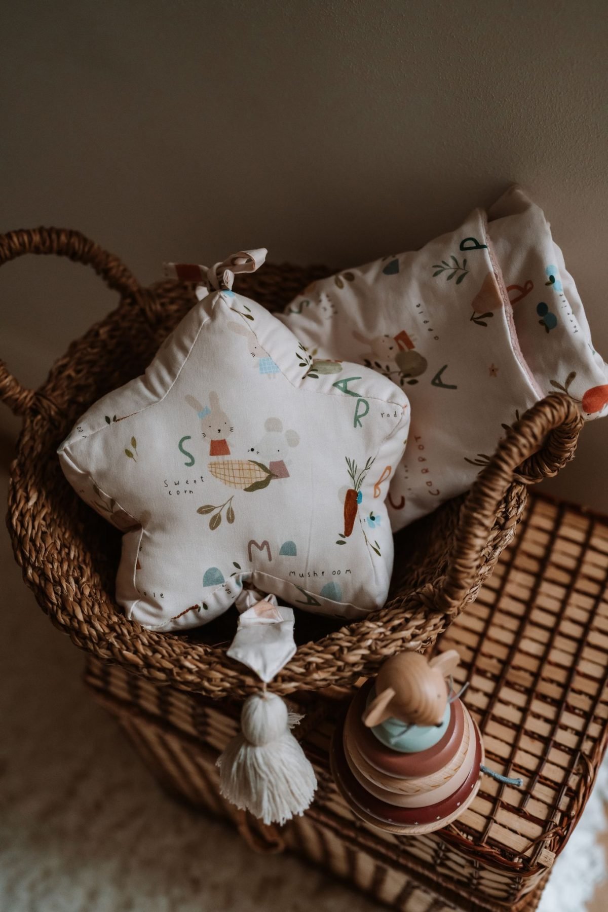 ABC Farm Music Star - Image 4