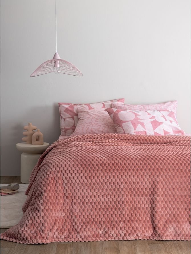 Aster Κουβέρτα Rose