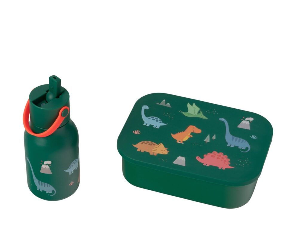 Dino Gift Set