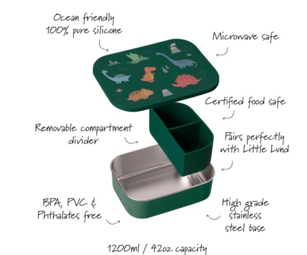 Dino Lunch Box