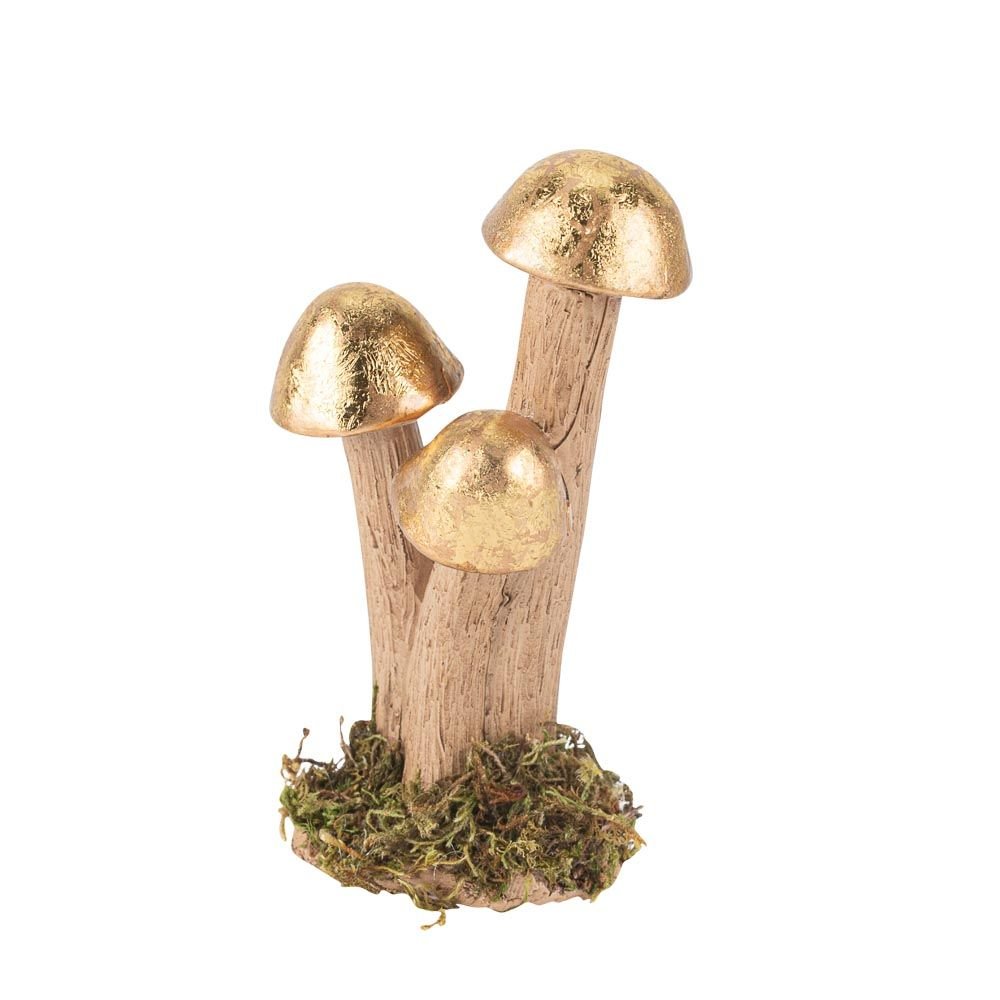 Διακοσμητικά Μανιτάρια