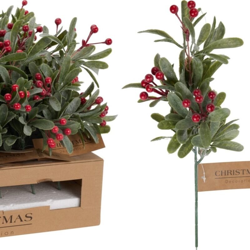 Χριστουγεννιάτικο Πικ Με Berry