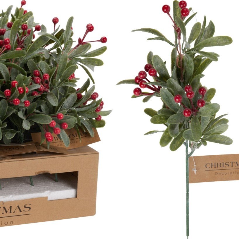 Χριστουγεννιάτικο Πικ Με Berry