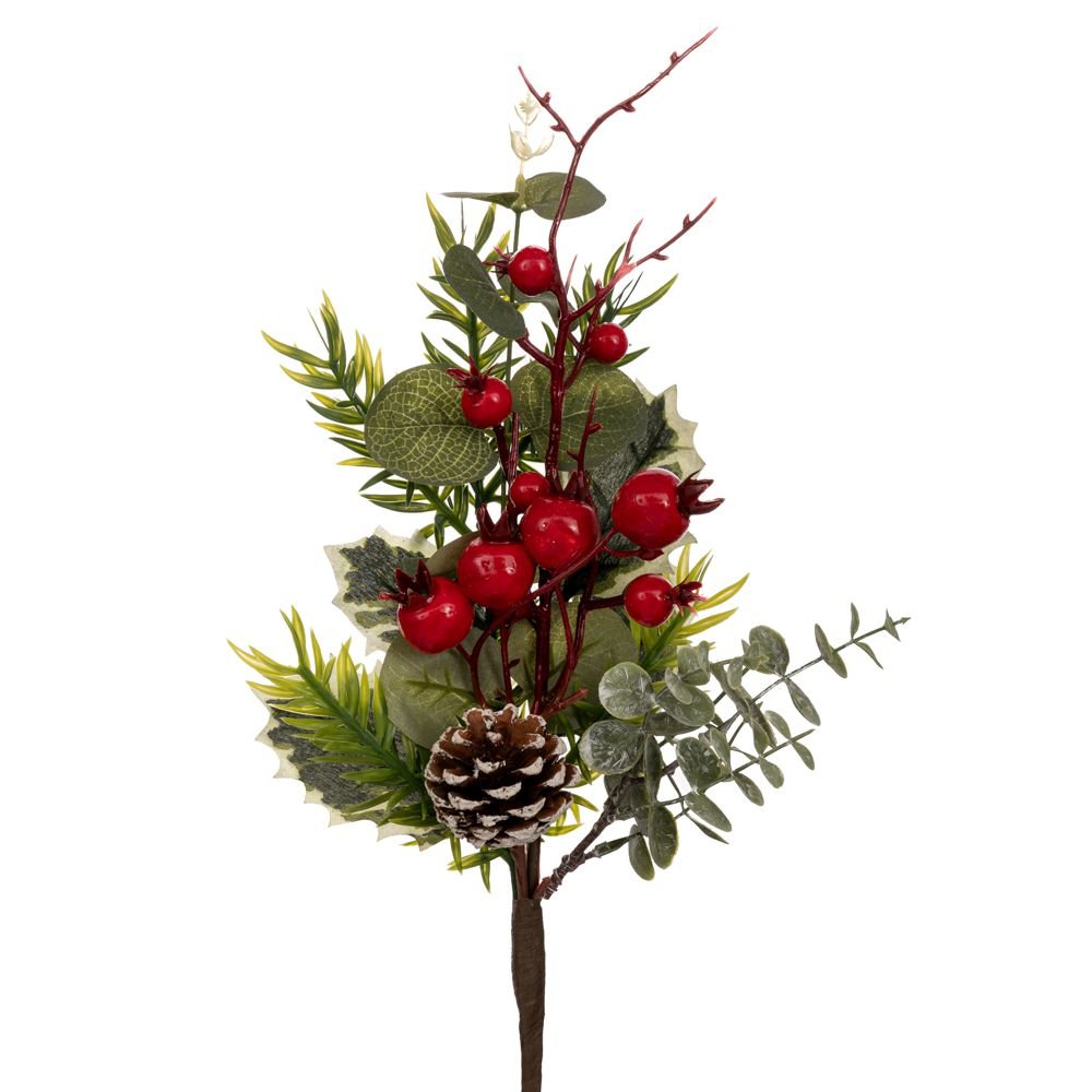 Πράσινο Κλαδί Με Berries Και Κουκουνάρια