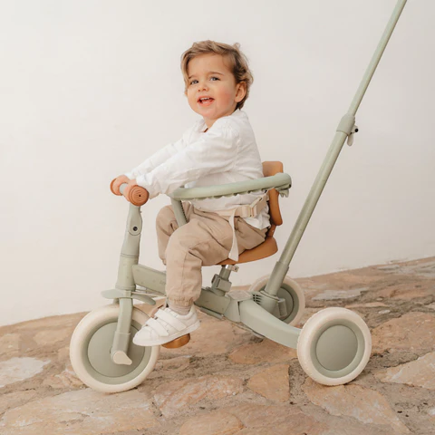 Green Leaf Τρίκυκλο Ποδήλατο